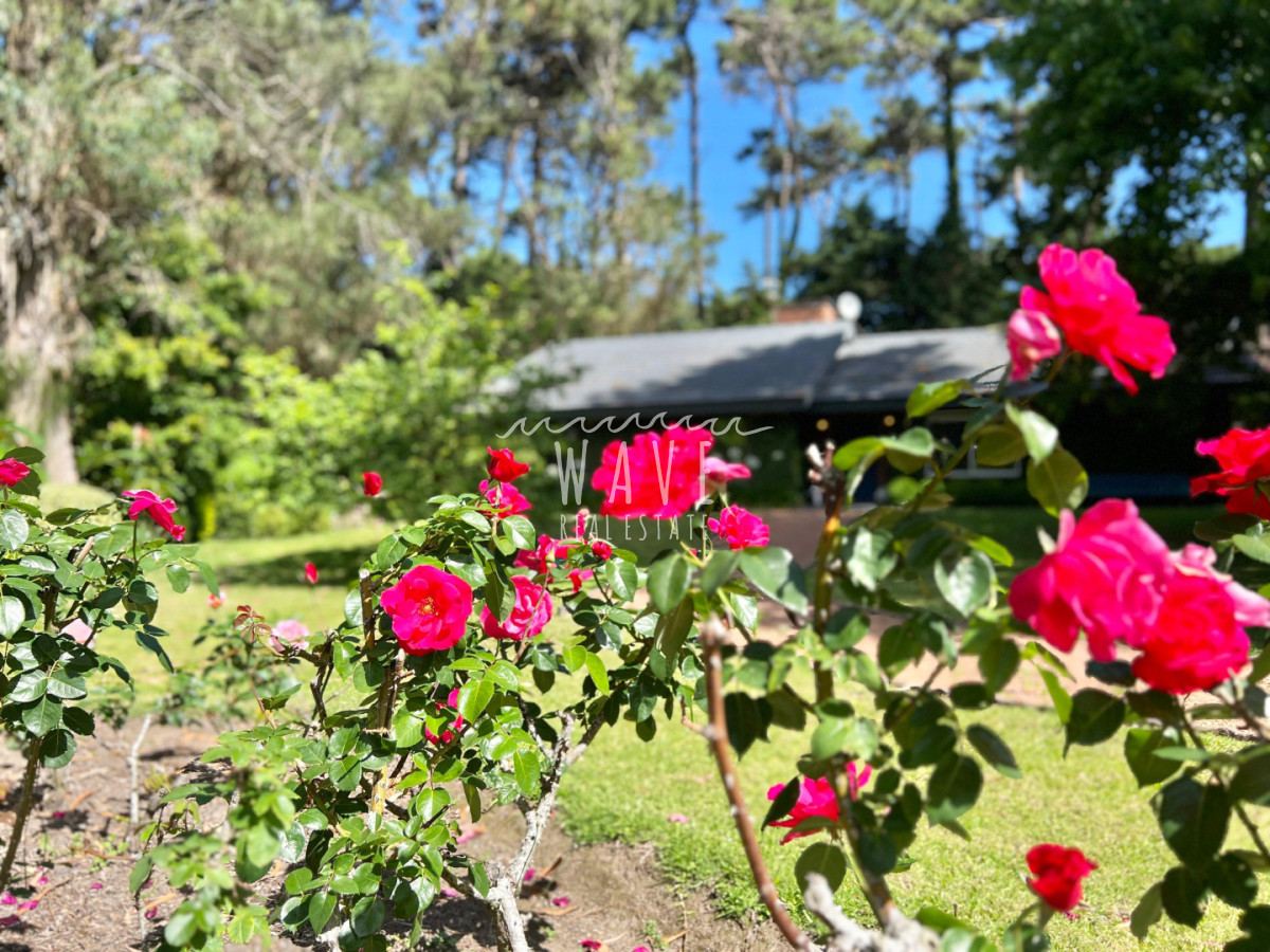 Casa ID.4689 - Alquiler de verano, Casa en Punta del Este, San Rafael 