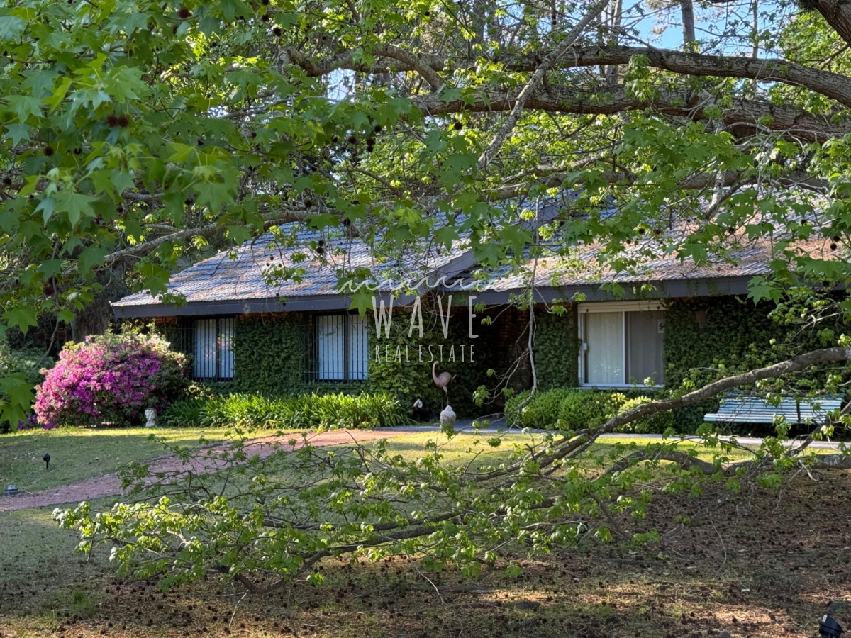 Casa ID.4689 - Alquiler de verano, Casa en Punta del Este, San Rafael 