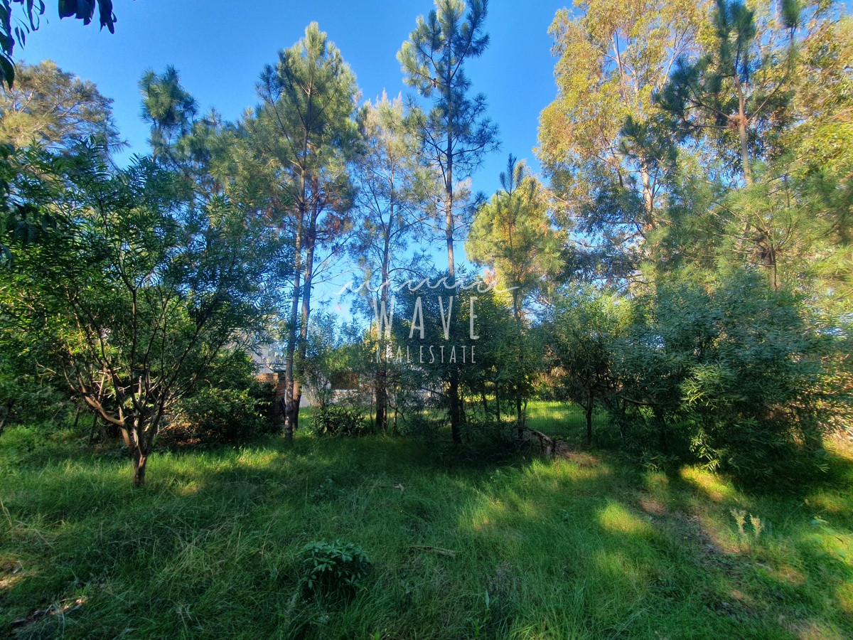 Casa ID.1691 - Venta de casa de 3 dormitorios y 2 baños en Pinares, Punta del Este.