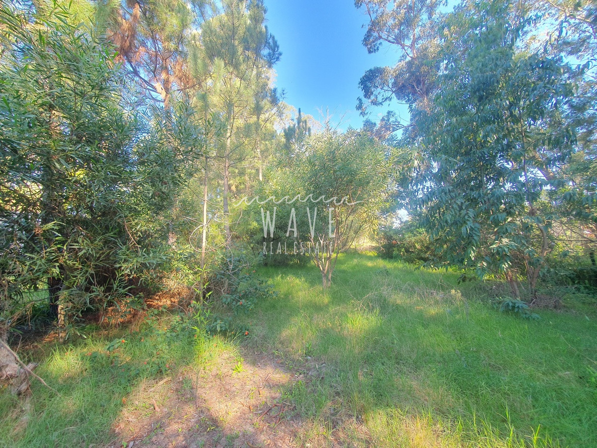 Casa ID.1691 - Venta de casa de 3 dormitorios y 2 baños en Pinares, Punta del Este.