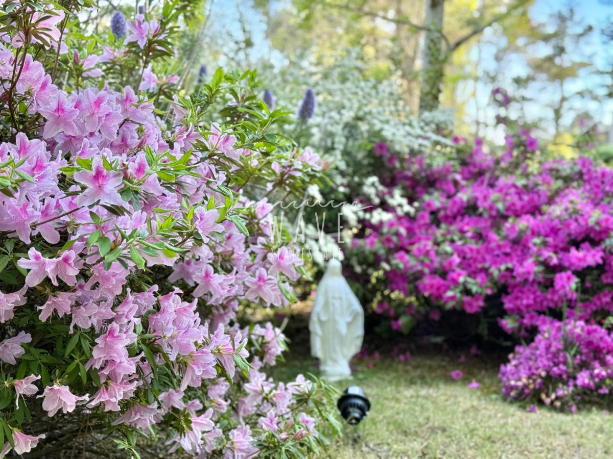 Casa ID.4689 - Alquiler de verano, Casa en Punta del Este, San Rafael 