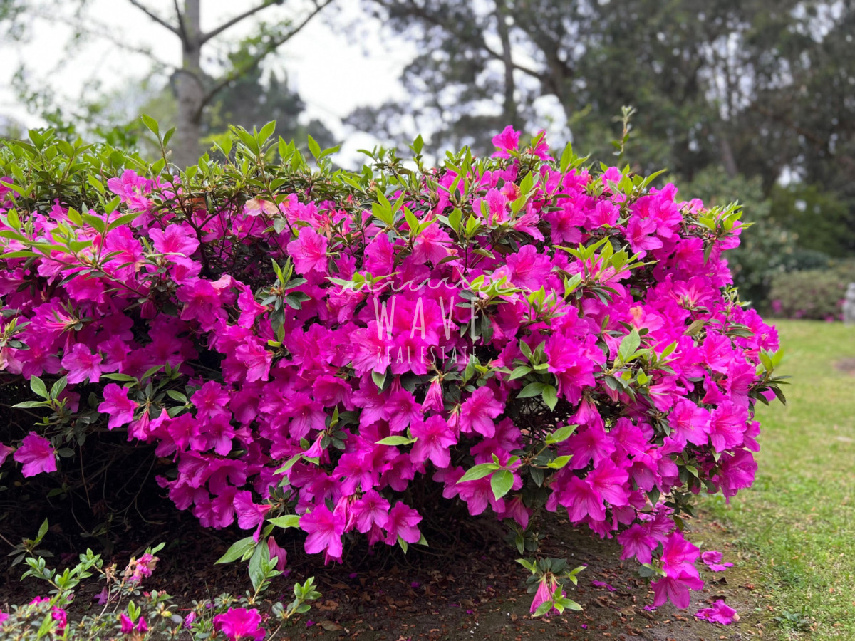 Casa ID.4689 - Alquiler de verano, Casa en Punta del Este, San Rafael 