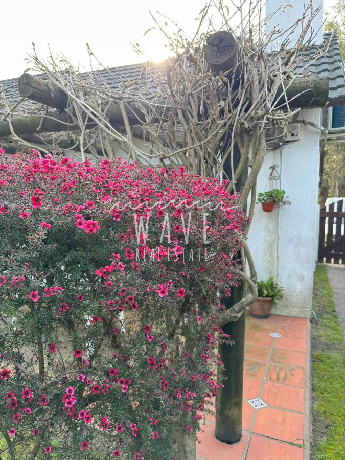 Casa ID.4451 - La Barra, El Tesoro, casa en venta y alquiler de verano, 3 dormitorios, piscina climatizada