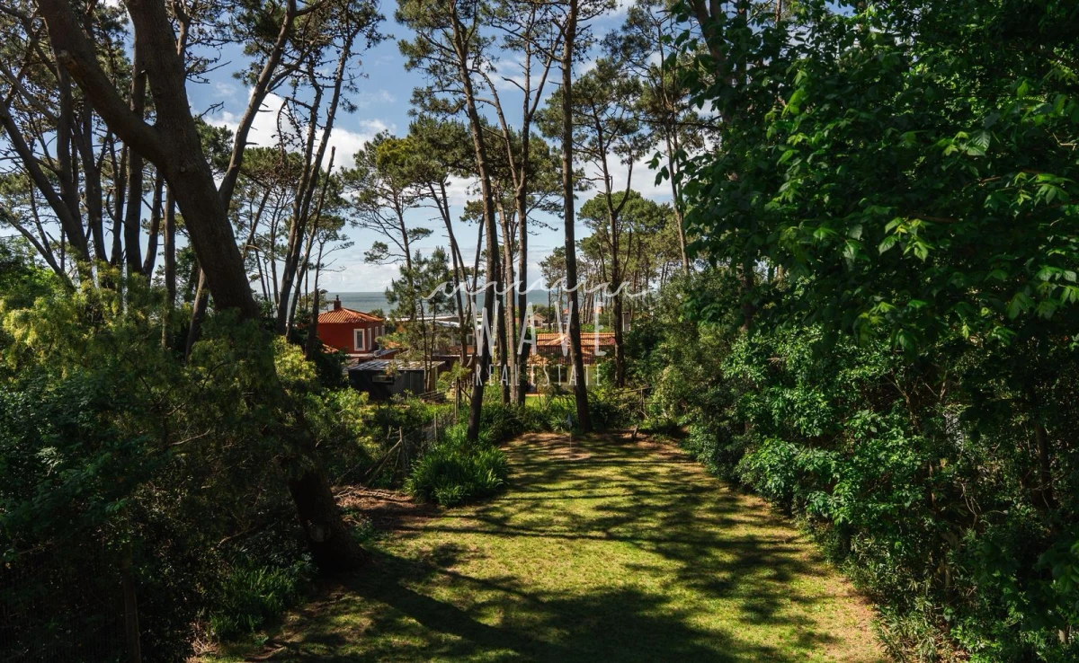Casa ID.5173 - Alquiler de verano, Casa de 3 dormitorios en Montoya, La Barra