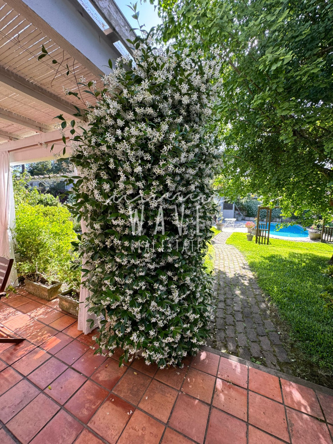 Casa ID.4608 - Mansa, Alquiler Temporada, 4 dormitorios, piscina climatizada. Disponible.