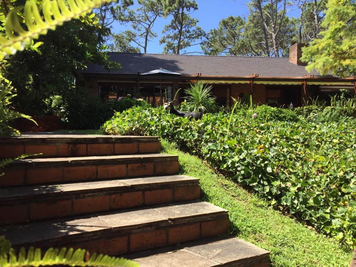 Venta espectacular Casa en Mansa, Punta del este 