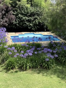 Venta de casa en El Tesoro,4 dormitorios y piscina.