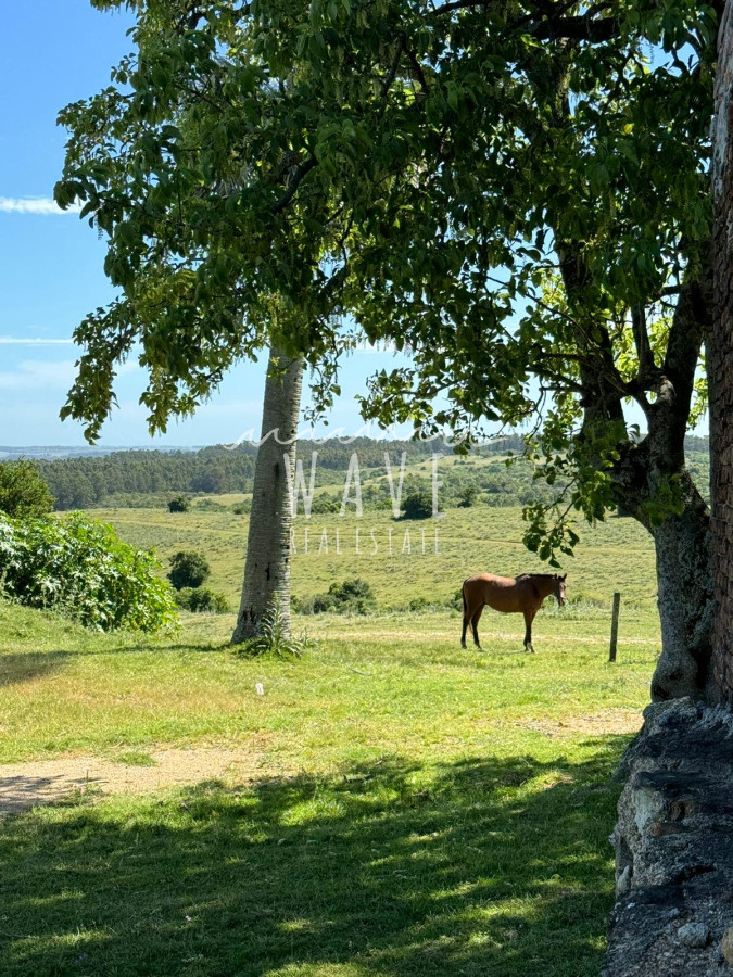 Chacra ID.4619 - Espectacular Chacra con casa en venta , Garzón 