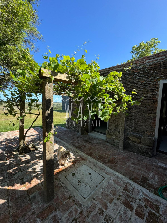 Chacra ID.4619 - Espectacular Chacra con casa en venta , Garzón 