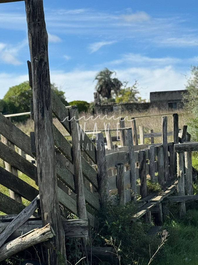 Chacra ID.4857 - Chacra a la Venta, de  45 Hectáreas, cercano a Ruta 39 