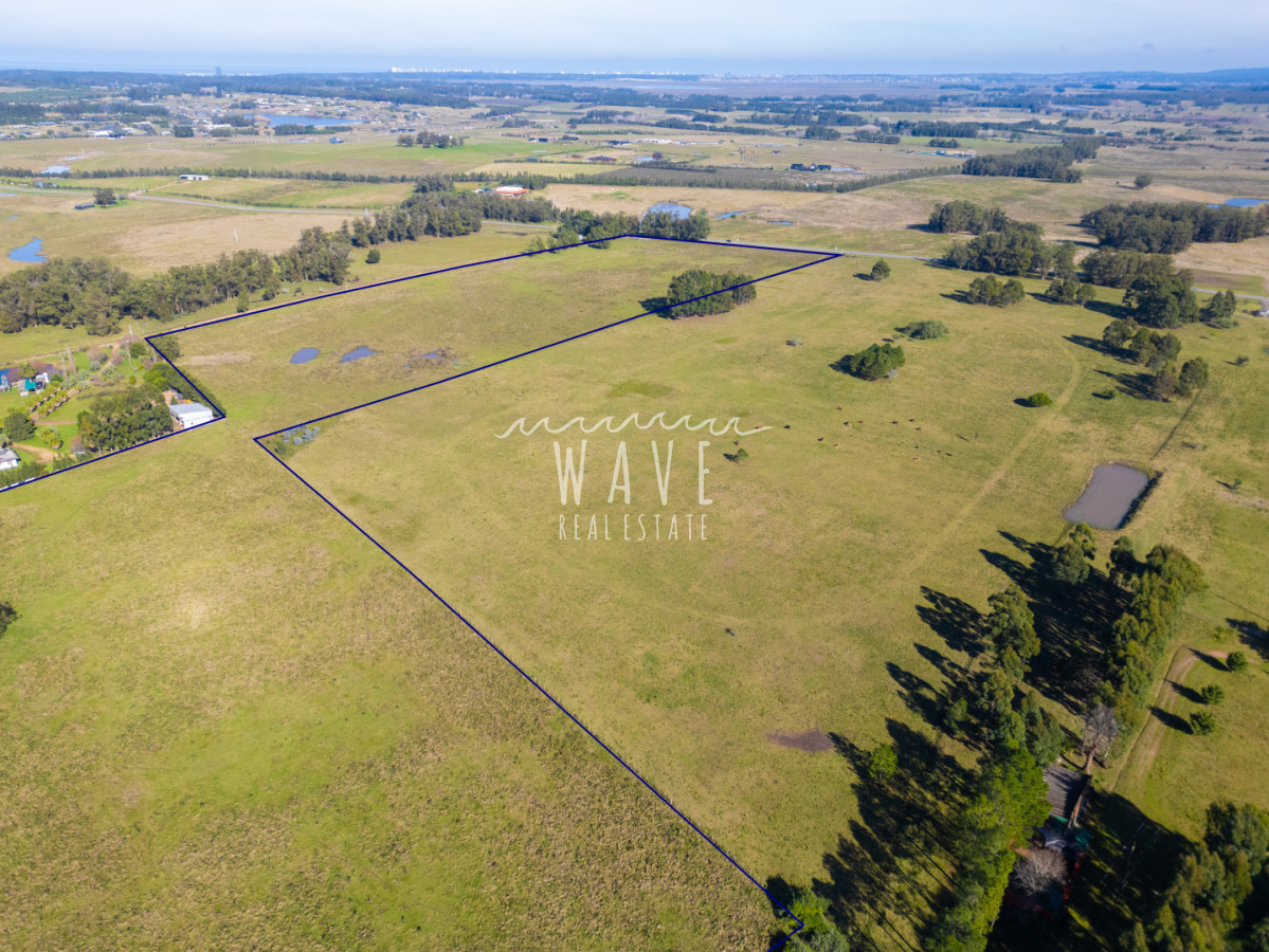 Chacra ID.5834 - Venta Chacras 22 ha Ruta 104