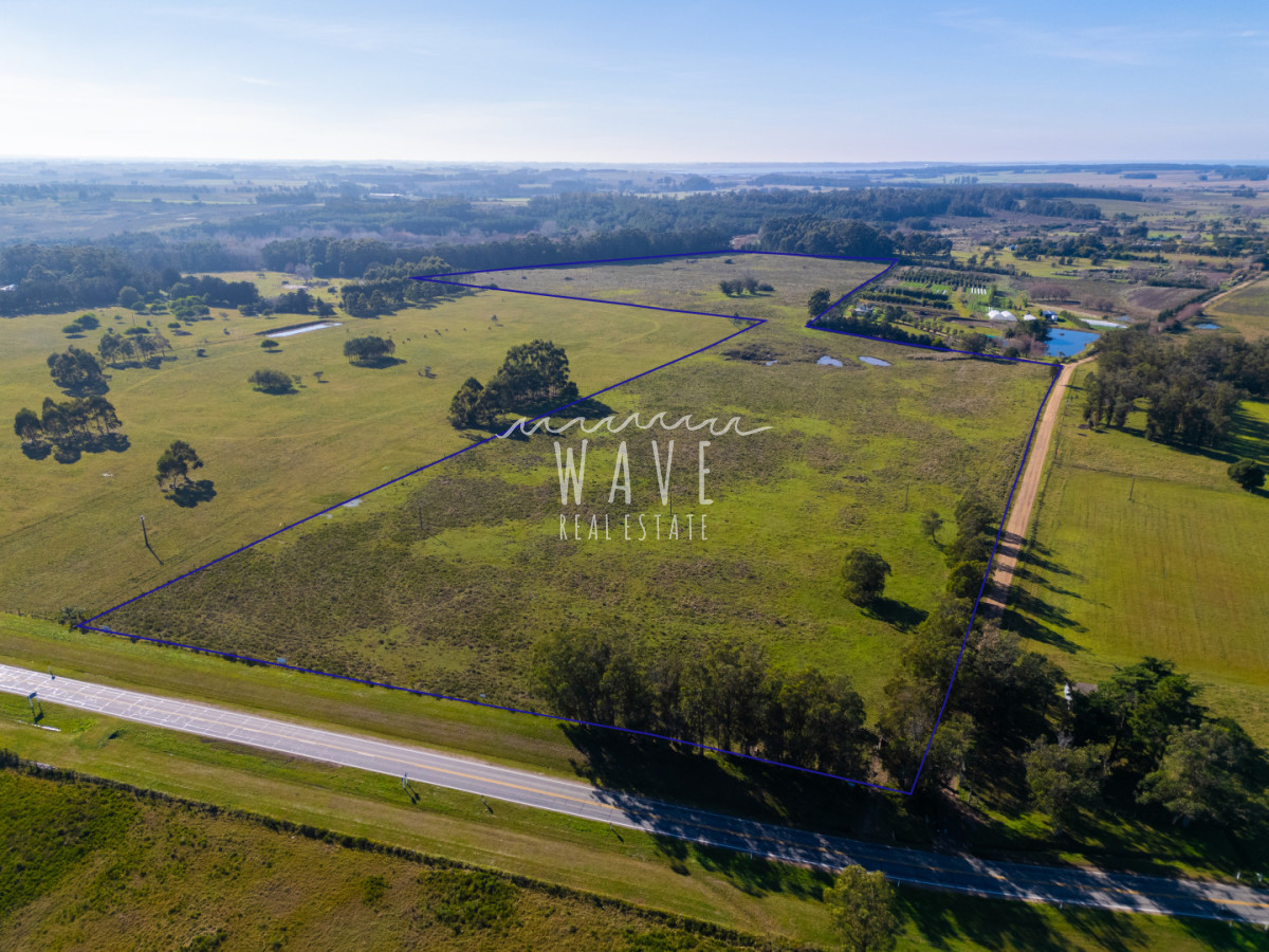 Chacra ID.5834 - Venta Chacras 22 ha Ruta 104