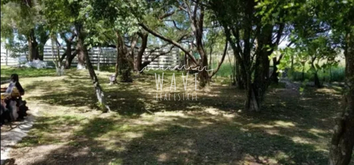 Chacra ID.5480 - Venta Chacra 7 has Ruta 39 camino a Aigua 