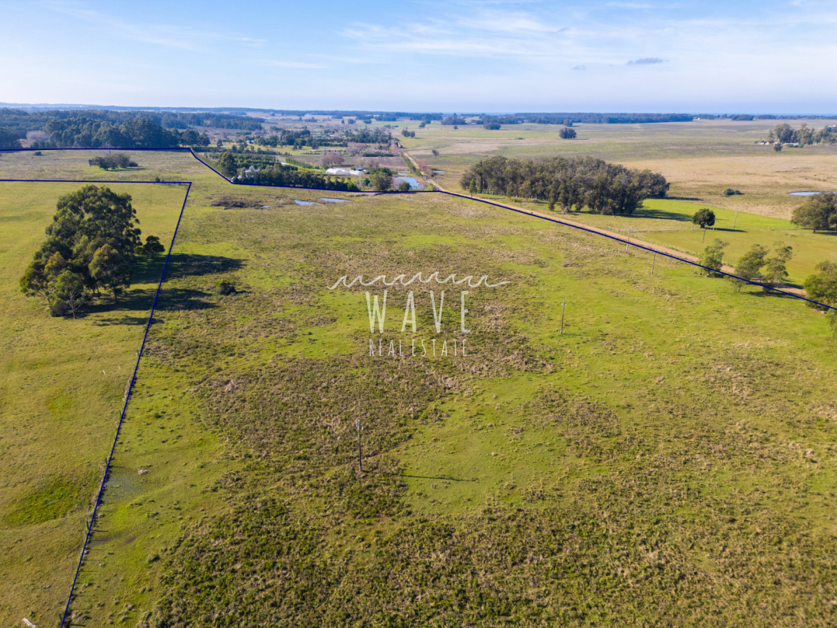 Chacra ID.5834 - Venta Chacras 22 ha Ruta 104