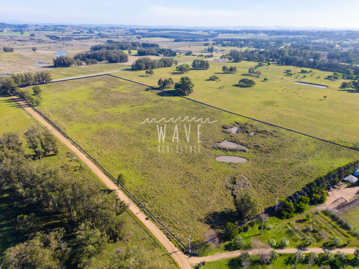 Chacra ID.5834 - Venta Chacras 22 ha Ruta 104