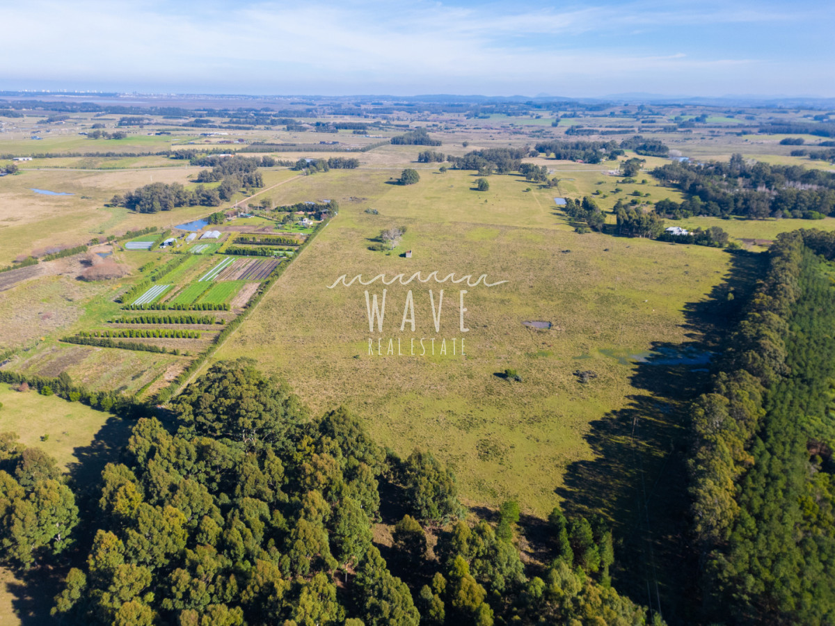 Chacra ID.5834 - Venta Chacras 22 ha Ruta 104