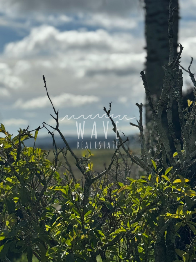 Chacra ID.4857 - Chacra a la Venta, de  45 Hectáreas, cercano a Ruta 39 