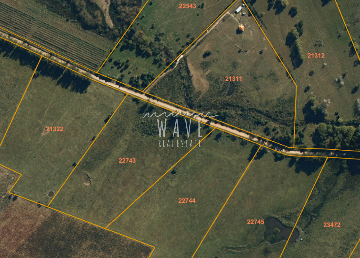 Chacra ID.5481 - Venta Chacra 5 has Camino Medellin tajamar y arboles nativos