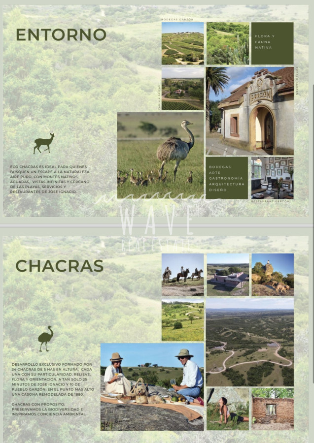 Chacra ID.4618 - Venta de Chacras en Garzón 