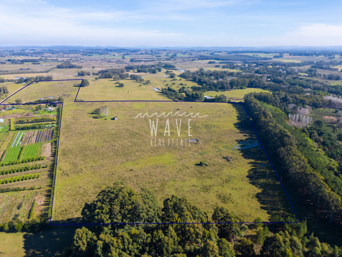 Chacra ID.5834 - Venta Chacras 22 ha Ruta 104