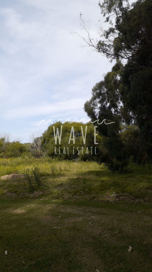 Chacra ID.5396 - Venta Chacra 5 has Camino Medellin arroyo Magdalena 