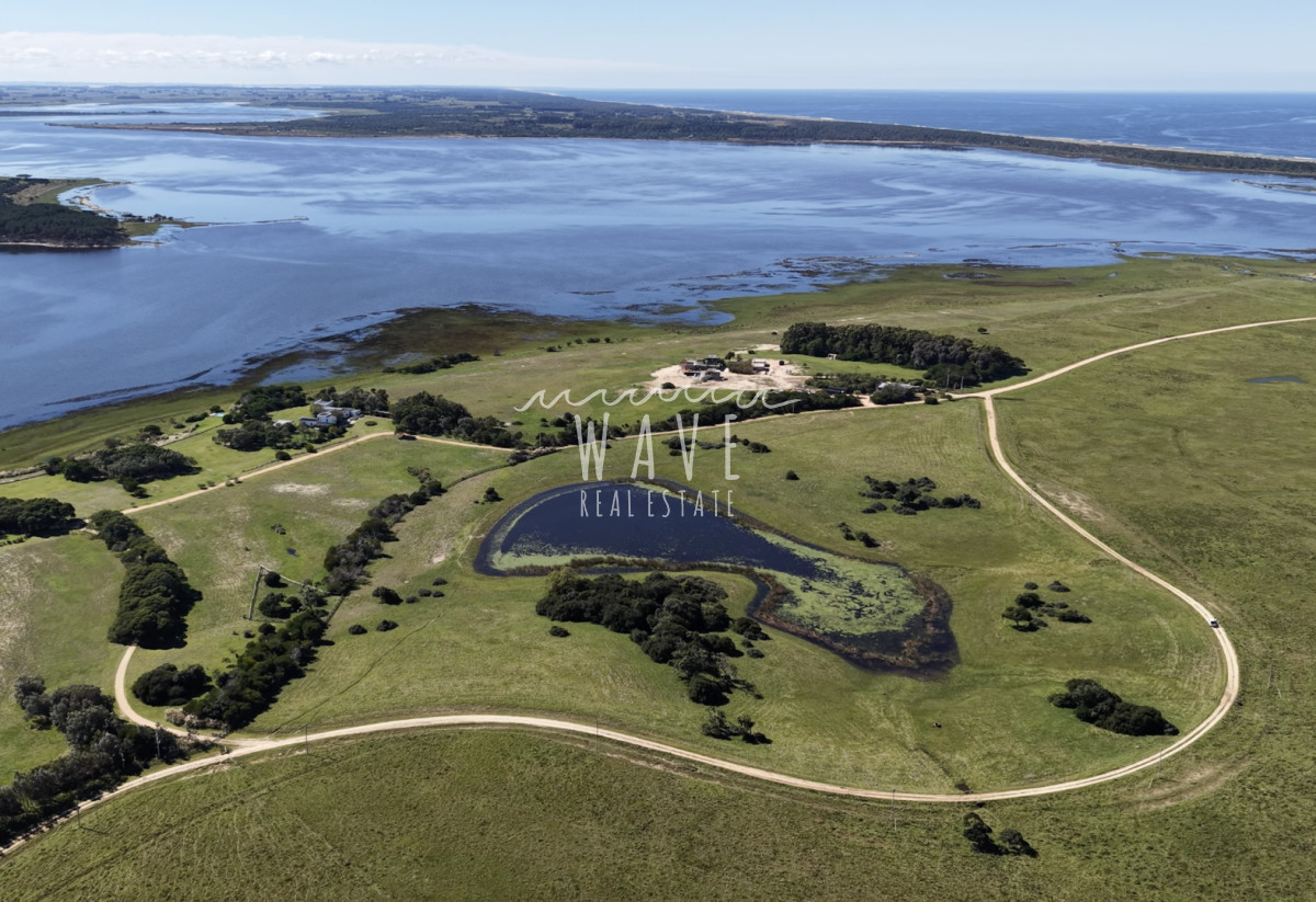 Chacra ID.5788 - Venta Chacra La Rinconada 3 has Jose Ignacio
