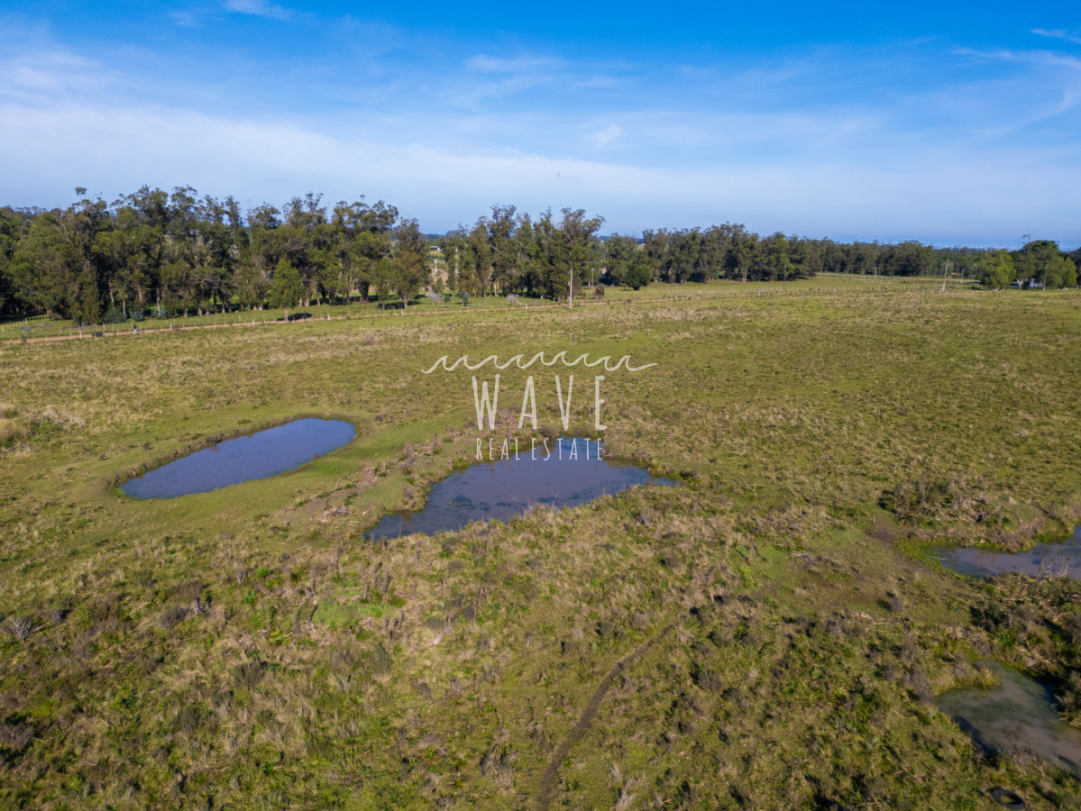 Chacra ID.5834 - Venta Chacras 22 ha Ruta 104
