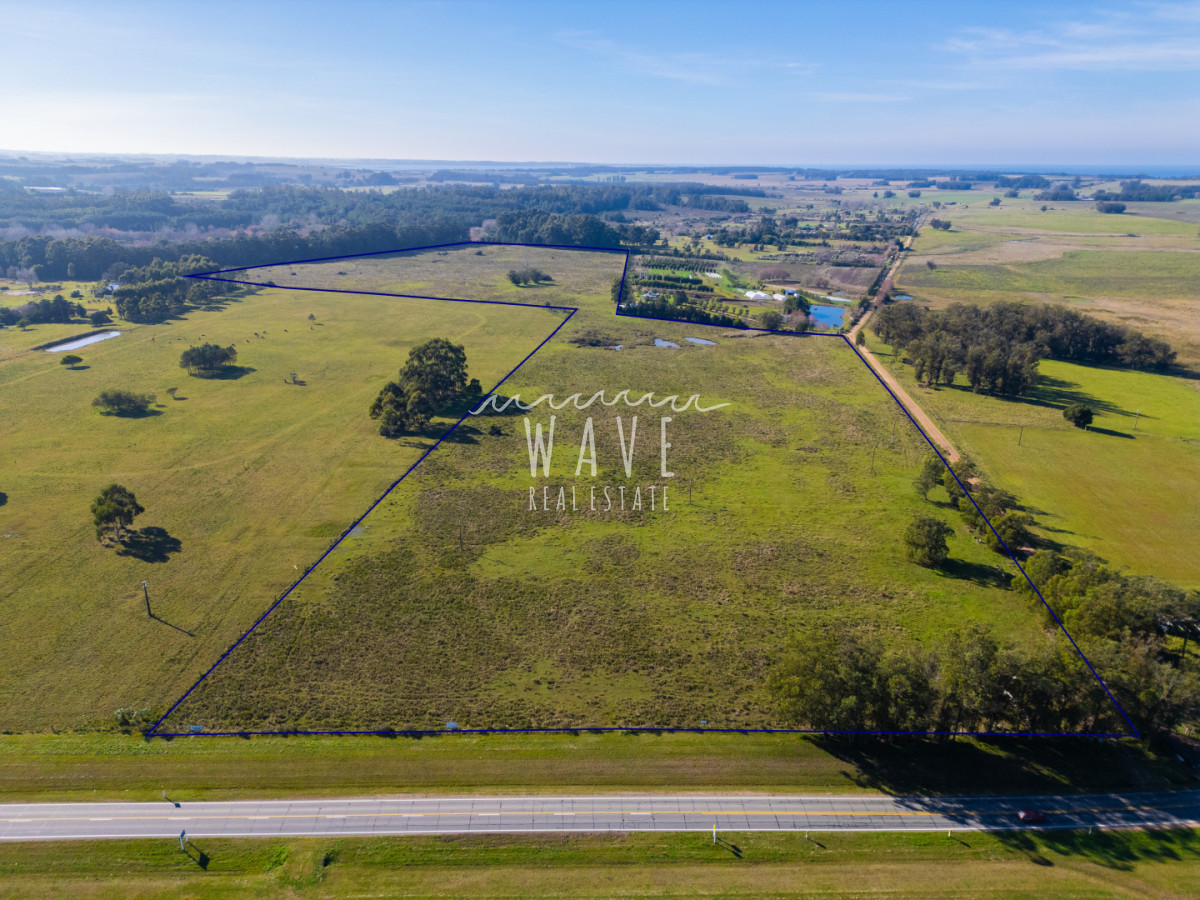 Chacra ID.5834 - Venta Chacras 22 ha Ruta 104