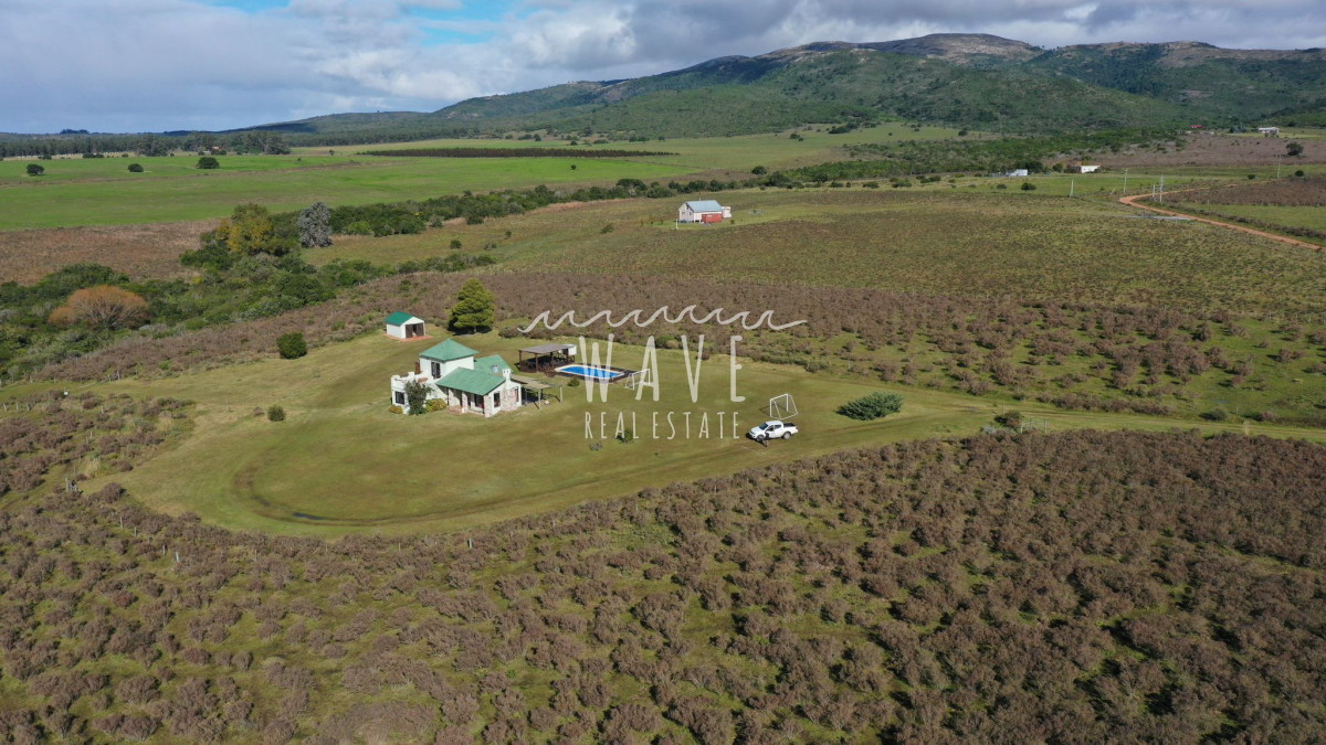 Chacra ID.4274 - Piriápolis, entre las sierras, chacra en Venta, OPORTUNIDAD. 5 H con casa de 3 dormitorios. 