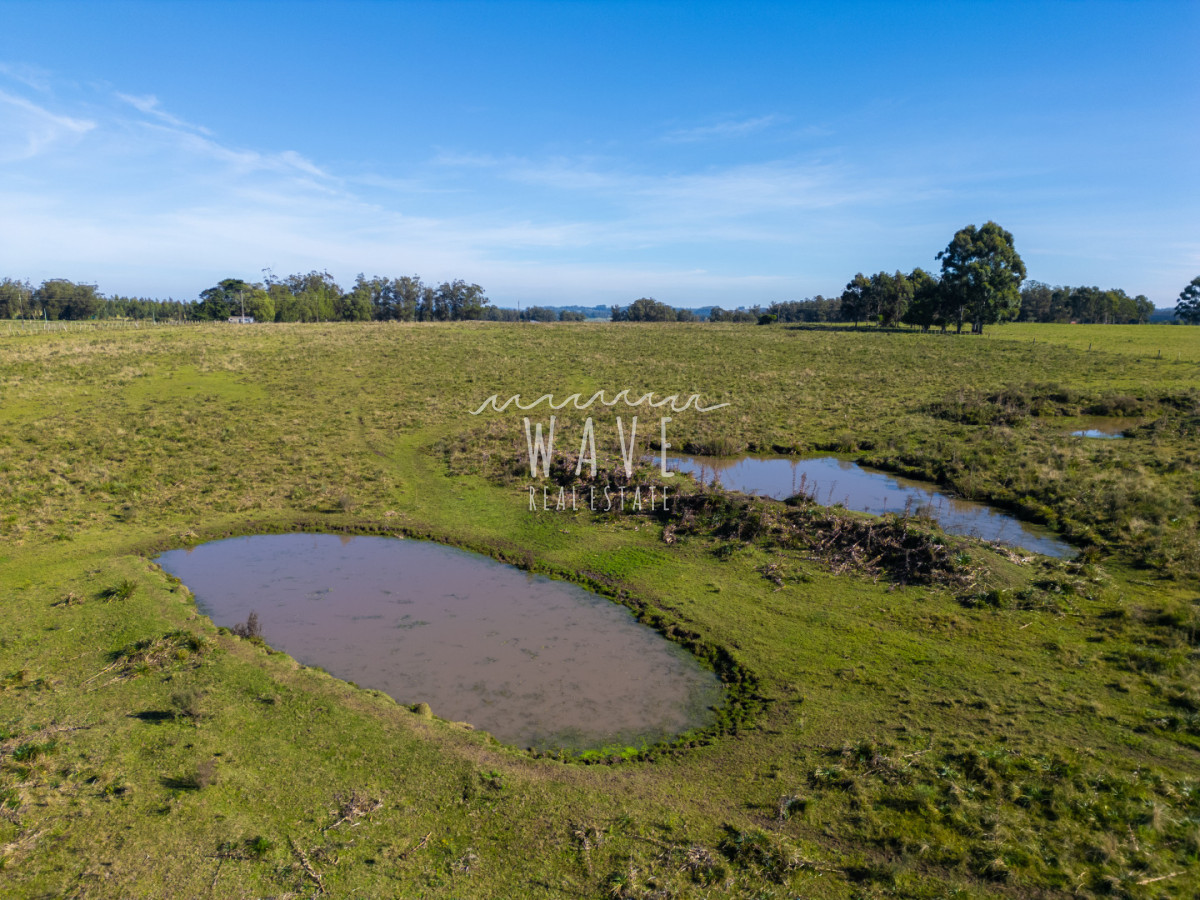 Chacra ID.5834 - Venta Chacras 22 ha Ruta 104