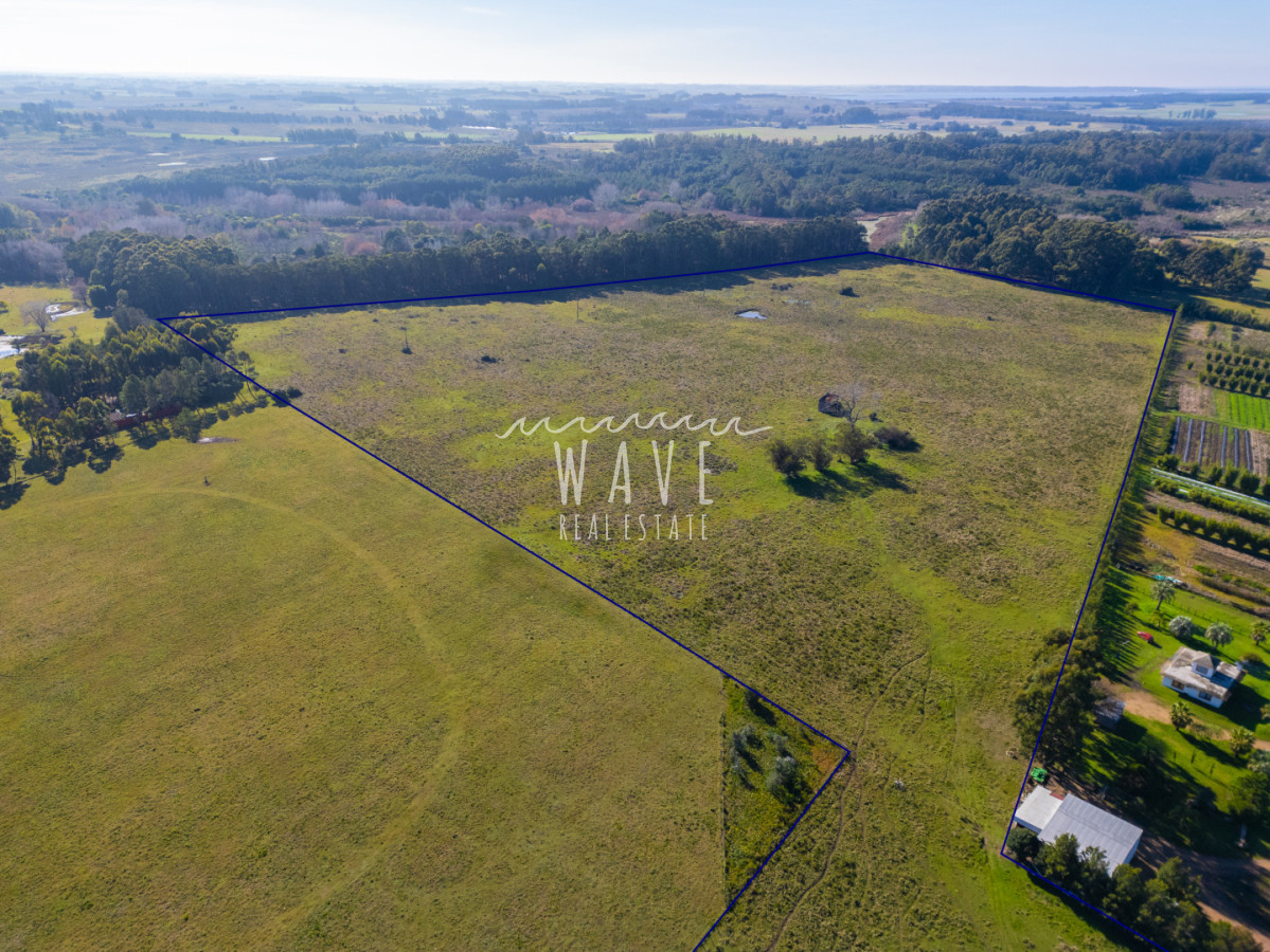 Chacra ID.5834 - Venta Chacras 22 ha Ruta 104