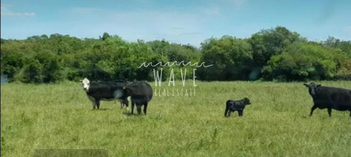 Chacra ID.5480 - Venta Chacra 7 has Ruta 39 camino a Aigua 