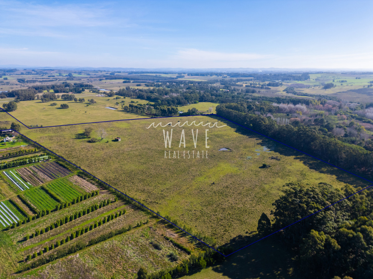 Chacra ID.5834 - Venta Chacras 22 ha Ruta 104