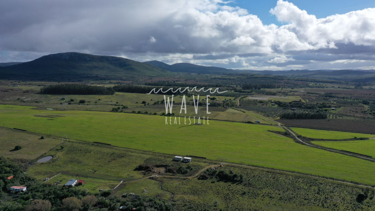 Chacra ID.4274 - Piriápolis, entre las sierras, chacra en Venta, OPORTUNIDAD. 5 H con casa de 3 dormitorios. 