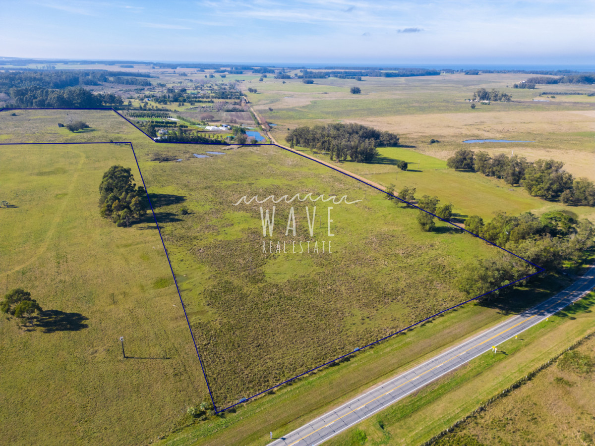 Chacra ID.5834 - Venta Chacras 22 ha Ruta 104