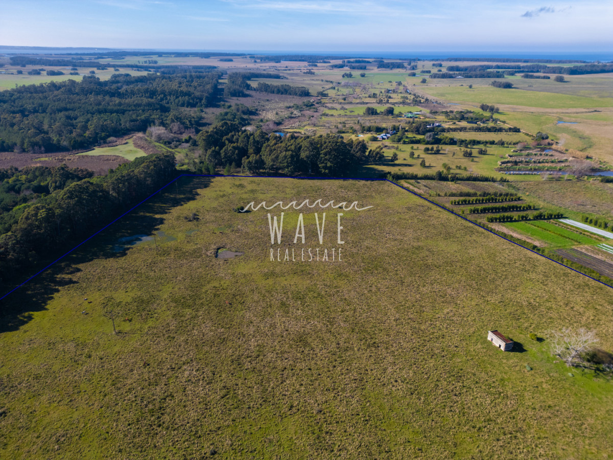 Chacra ID.5834 - Venta Chacras 22 ha Ruta 104