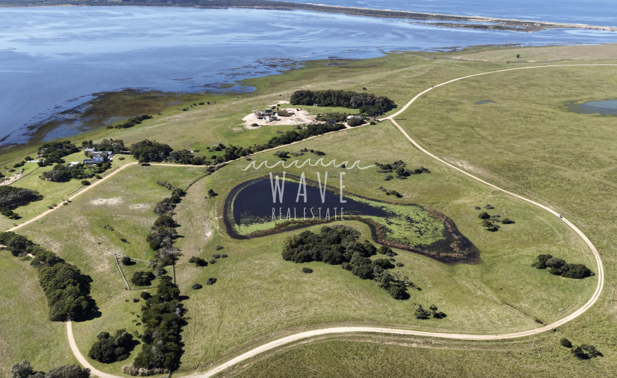 Chacra ID.5788 - Venta Chacra La Rinconada 3 has Jose Ignacio