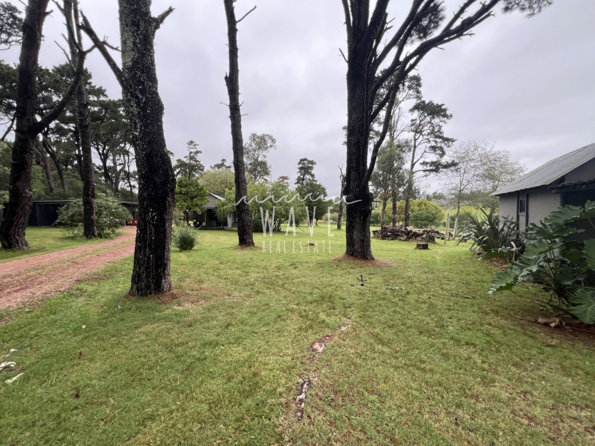 Chacra ID.5507 - Venta de chacra de 6 dormitorios en La Barra