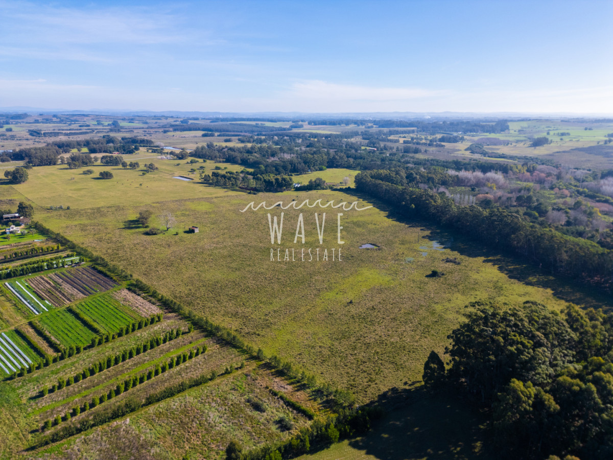 Chacra ID.5834 - Venta Chacras 22 ha Ruta 104
