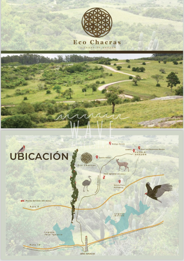 Chacra ID.4618 - Venta de Chacras en Garzón 