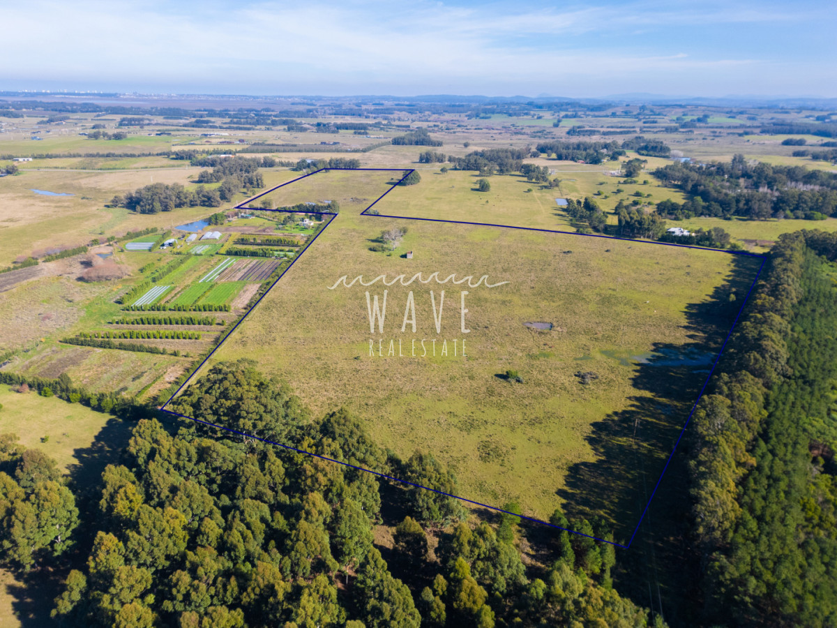 Chacra ID.5834 - Venta Chacras 22 ha Ruta 104