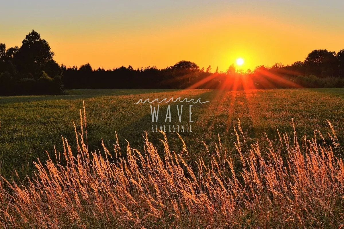 Campo Ref.1839 - Establecimiento de Lujo ubicado a 80 kms de Montevideo y 60 kms de Punta del Este