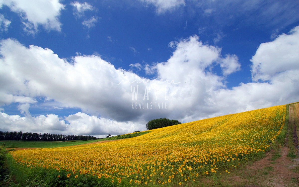 Campo Ref.1558 - Hermosas hectareas a la venta en Rocha