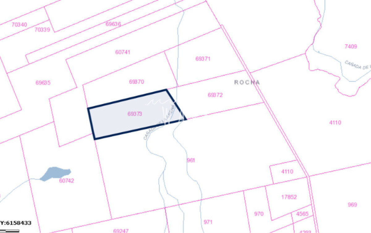 Campo Ref.6020 - Venta Campo 64 ha Camini Guani Garzon Rocha