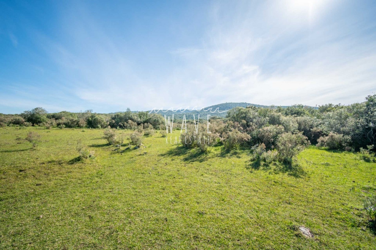 Campo Ref.10 - 100 hectáreas en Las Flores Ruta Interbalnearia