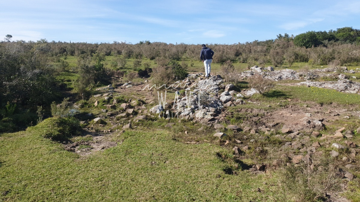 Campo Ref.10 - 100 hectáreas en Las Flores Ruta Interbalnearia