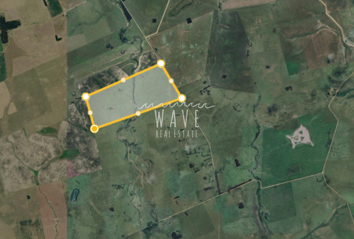 Campo Ref.6020 - Venta Campo 64 ha Camini Guani Garzon Rocha