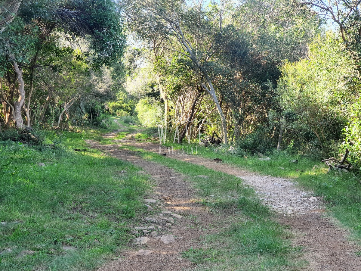 Campo Ref.10 - 100 hectáreas en Las Flores Ruta Interbalnearia