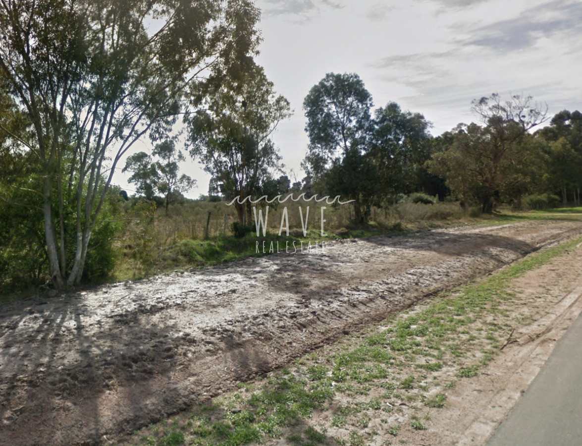 Campo Ref.5169 - Venta de campo, 23 hectáreas a metros de Ruta 104. Acceso asfaltado.