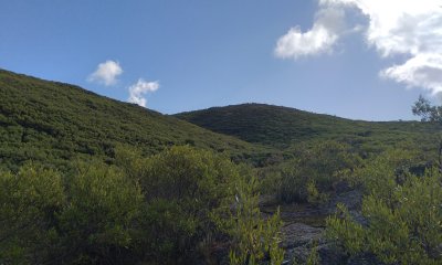 Campo Serrano ubicado a 40 min de Punta del Este